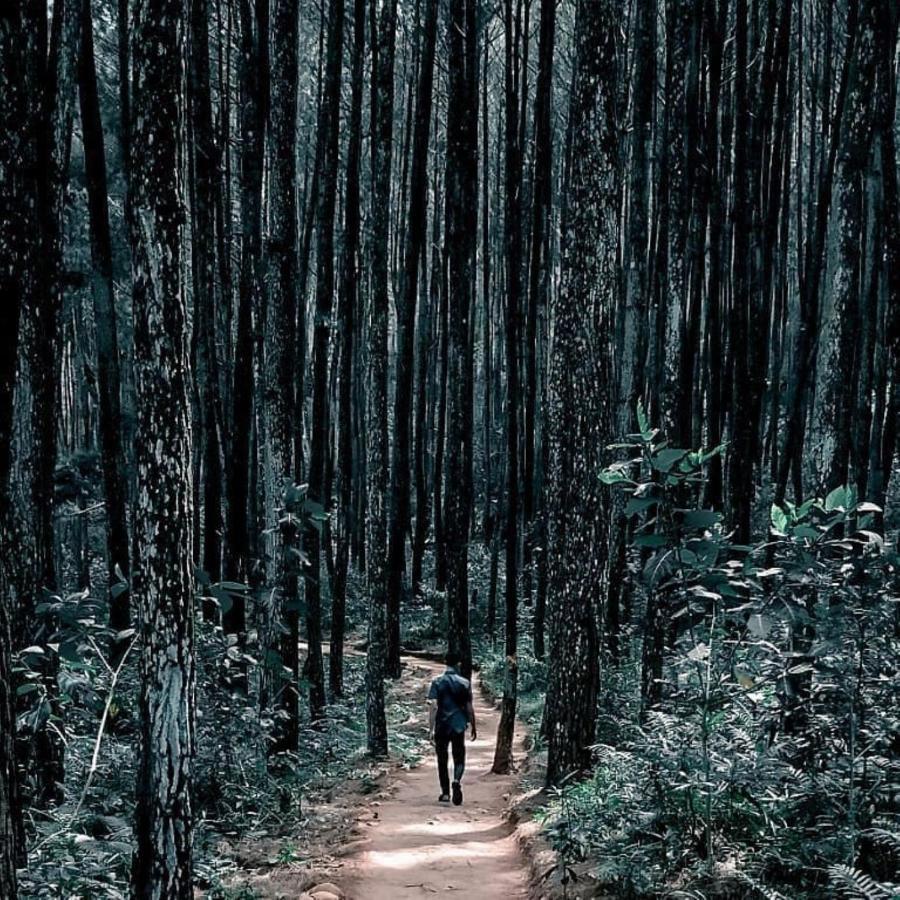 Seribu Batu Songgo Langit Resort & Camp Bantul Exteriör bild