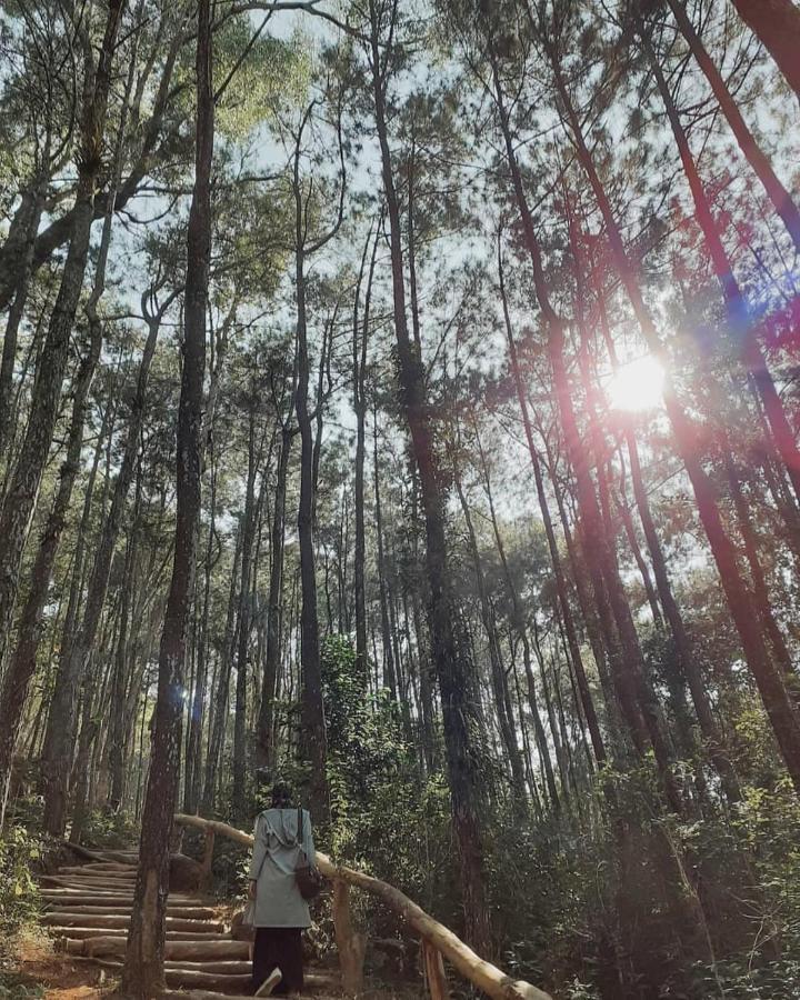Seribu Batu Songgo Langit Resort & Camp Bantul Exteriör bild